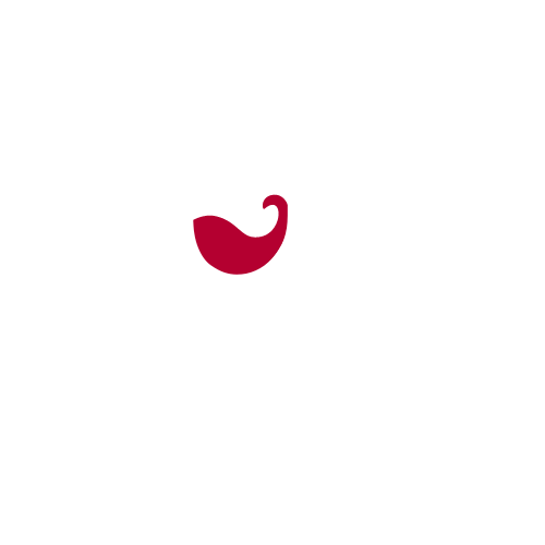 understanding wines logo